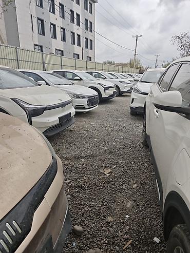 Zeekr: Zeekr : | 2020 г. Кроссовер — 2