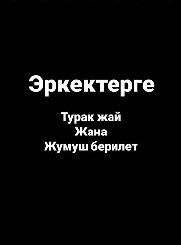 сдаю комнату гостиничного типа: 1 бөлмө, Менчик ээси, Чогуу жашоо менен, Толугу менен эмереги бар