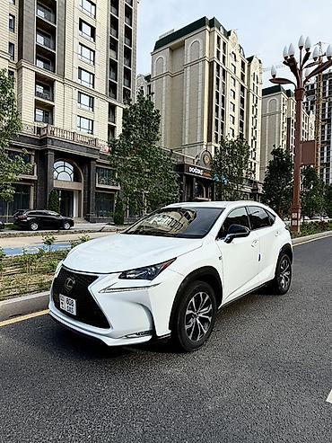 Lexus: Lexus NX: 2017 г., 2 л, Вариатор, Бензин, Кроссовер — 10