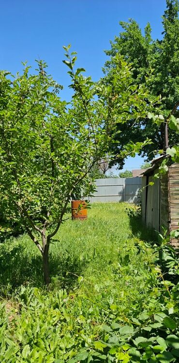 Продажа участков: 7 соток, Для бизнеса, Красная книга, Тех паспорт, Договор купли-продажи
