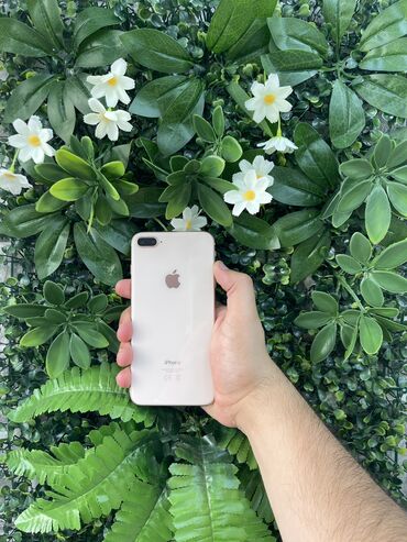 iphone 8plus qiymeti: IPhone 8 Plus, 64 GB, Rose Gold, Zəmanət, Sənədlərlə