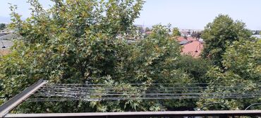 Köhnə tikili: Gəncə, 3 otaqlı, Köhnə tikili, 64 kv. m — 10