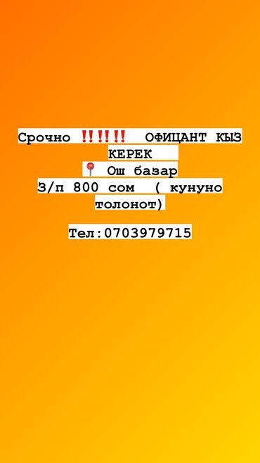 требуется пасуда мойшица: Требуется Официант Без опыта, Оплата Ежедневно