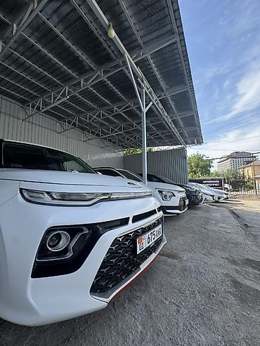 Kia: Kia Soul: 2019 г., Кроссовер — 5