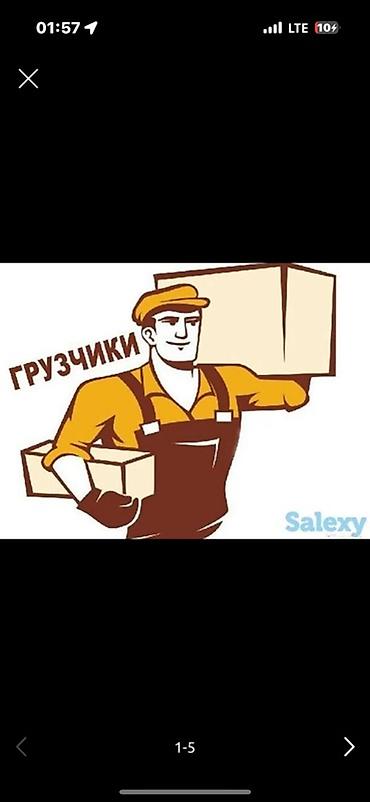 Работа: Грузчики — услуги по погрузке и переноске - Погрузочно-разгрузочные — 1