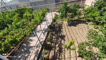 Həyət evləri və villaların satışı: 7 otaqlı, 250 kv. m — 18