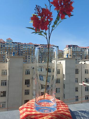 Vazalar: Bir vaza, Bogem şüşəsi — 2