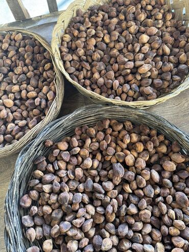 шоколад аленка цена бишкек: Абрикос Цена:80 кг
Тел: 
Позвонить 📞