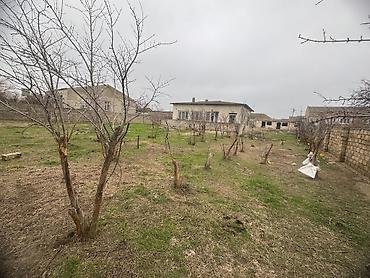 maştagada evlər: Torpaq satilir Unvan kurdexani mektebe yaxin paliknikaya yaxin usaq — 2
