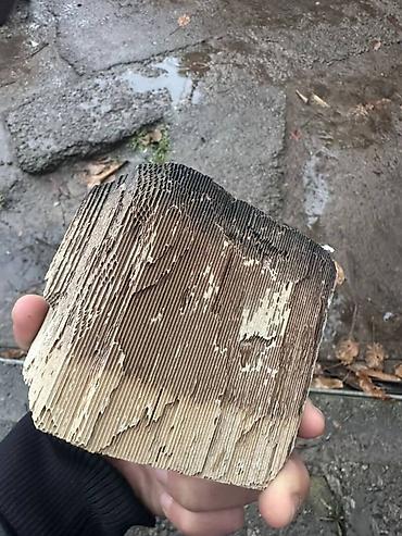 Скупка катализаторов: Скупка катализаторов дорого прием катализатора катализаторы через — 9