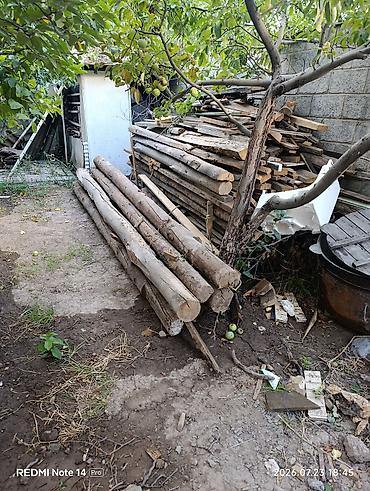 хвоя: Дерево для строительных и хозяйственных работ - Бревна/жерди хвойных — 1
