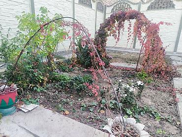 фигурки садовые: ПРОДАЕТСЯ ЦВЕТОЧНАЯ АРКА ДЛЯ САДА🌿 Металлическая арка для вьющихся — 2