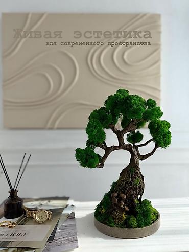 Декоративные цветы: Деревья-бонсай из натурального стабилизированного мха🌳 -это — 83