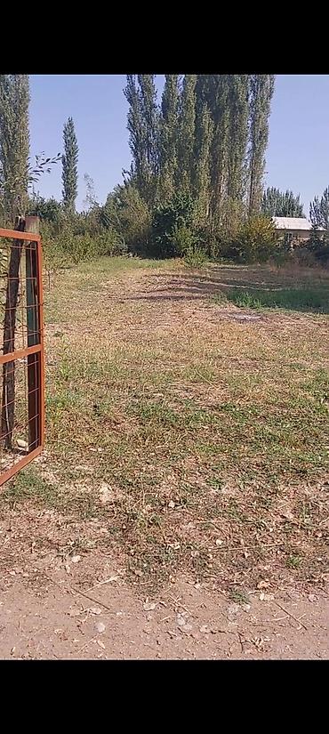 Продажа участков: 30 соток — 5