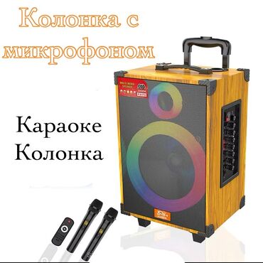 музыкальные центры philips все модели: Колонка с микрофонами JQS910L [ акция 50% ] - низкие цены в городе!