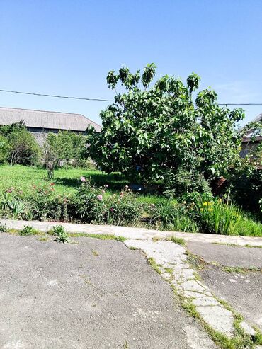 Həyət evləri və villaların satışı: 5 otaqlı, 24 kv. m, Kredit yoxdur, Orta təmir — 11