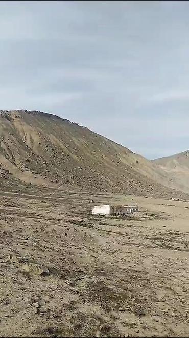 Torpaq: 80 sot, Tikinti, Mülkiyyətçi, Kupça (Çıxarış) — 8