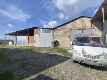 Kirayə torpaq sahələri: 8 sot Kənd təsərrüfatı — 3