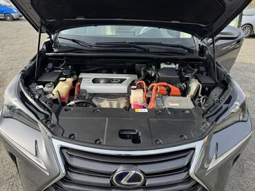 Lexus: Lexus NX: 2017 г., Гибрид, Кроссовер — 10