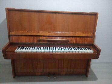 рояль steinway: Пианино (вертикальное) - Классическая акустическая модель