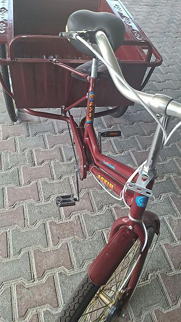 velosipedlər isma: Yükdaşıma üçtəkərli velosiped – Aoxin/AXP - Rəng: tünd bordo (korpus — 4