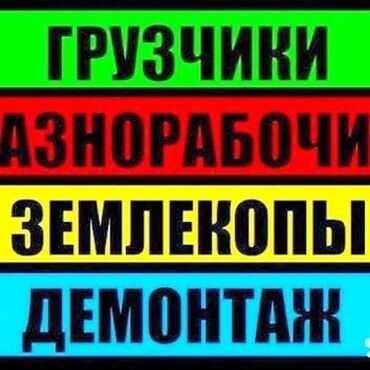 Портер, грузовые перевозки: Я ишу работа по договор грузчик работа землекопы работа демонтаж