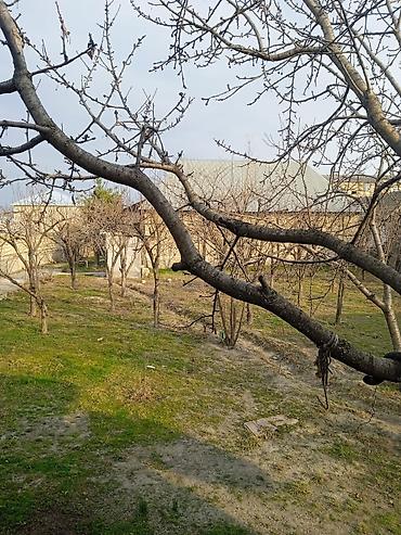 mingecevirde torpaq satisi: 10 sot, Kənd təsərrüfatı, Mülkiyyətçi, Kupça (Çıxarış) — 8