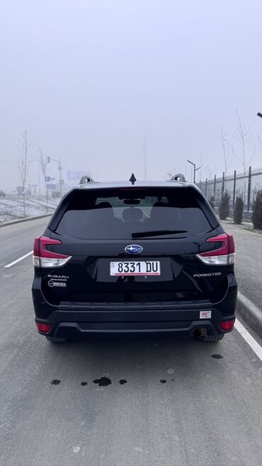 Subaru: Subaru Forester: 2020 г., 2.5 л, Автомат, Бензин, Кроссовер — 3