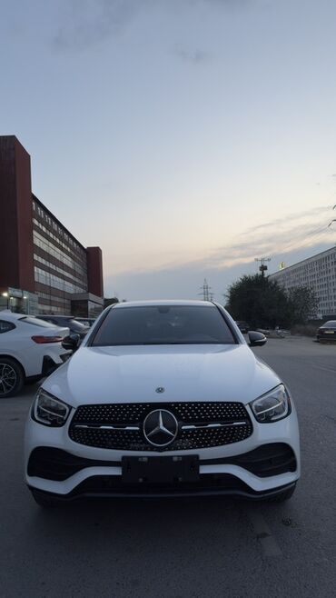 американская короткошёрстная кошка купить: Mercedes-Benz GLC-class: 2 л, Бензин, Кроссовер