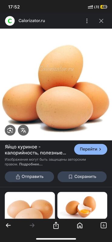резиновые маты для крс цена в бишкеке: Куплю яйца инкубационные Порода Легорндакан бойцовские