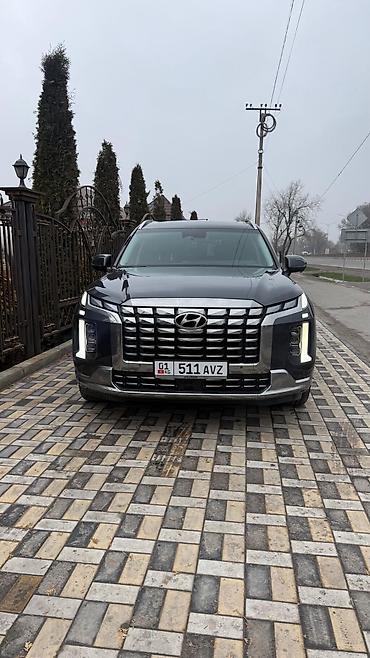 матиз молдинг: Hyundai Palisade: 2023 г., 2.2 л, Автомат, Дизель, Внедорожник — 1
