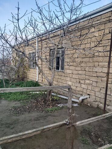 Həyət evləri və villaların satışı: Satılır: Həyət evi (şəkillərdə göstərilən) - Geniş mətbəx: asma — 7