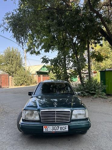 bud e9: Mercedes-Benz S-Class: 1995 г., Седан — 8