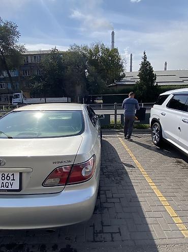 тайота виста ардео: Toyota Windom: 2004 г., 0.3 л, Автомат, Бензин, Седан — 4