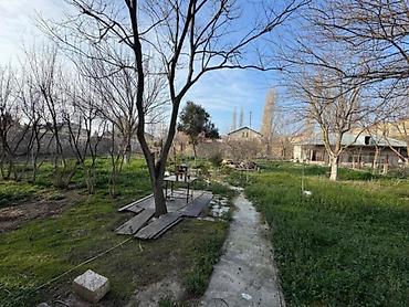 gencede ev: Bakı, Novxanı, 220 kv. m, 8 otaq, Hovuzlu — 2