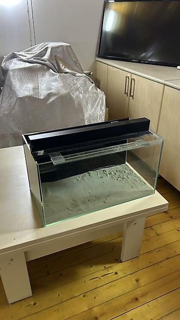 ocean filter: Şüşə akvarium dəsti - Şəffaf, yapışdırılmış şüşədən akvarium korpusu — 2