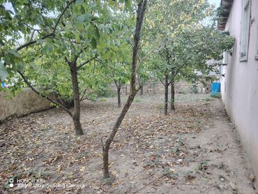 Həyət evləri və villaların satışı: Obyekt: Həyət evi Təsvir:Gözel tebiet panaraması var. Temiz dağ -da lalafo.az — 9 Həyət evləri və villaların satışı: Obyekt: Həyət evi Təsvir:Gözel tebiet panaraması var. Temiz dağ — 9