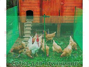сетки для лука: Другие удобства для дома и сада — 10