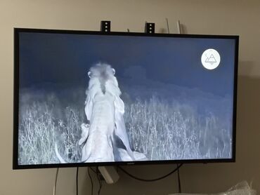 телевизор 3d: Телевизор LG