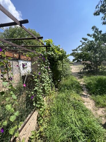 Продажа домов: Дом, 40 м², 2 комнаты, Риэлтор, Косметический ремонт — 2