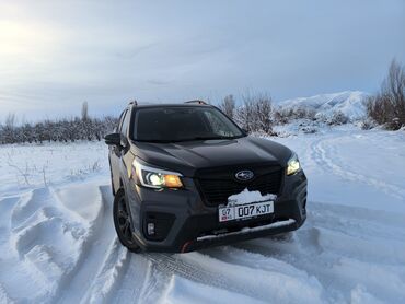 Subaru: Subaru Forester: 2019 г., 2.5 л, Вариатор, Бензин, Кроссовер — 5