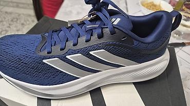 tech flecee: Мужские кроссовки, 42, 42.5, Adidas, Новый, цвет - Синий — 1