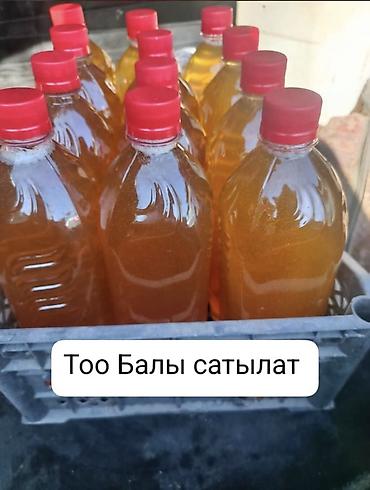 мёд горный: Натуральный горный мёд «Too Бал» - Сбор: горные луга, разнотравье. - — 1