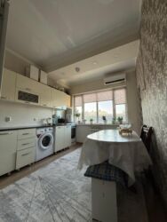 дом или квартира: 1 бөлмө, 45 кв. м, Элитка, 12 кабат, Евроремонт