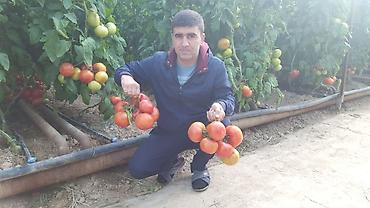 Удобрения и садовая химия: Удобрение Самовывоз — 8