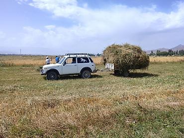 крона прицеп: Прицеп, до 3,5 т, Б/у — 3