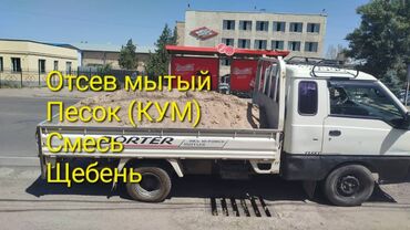 розы на штамбе: Песок, Васильевский карьер, Насыпью, Портер