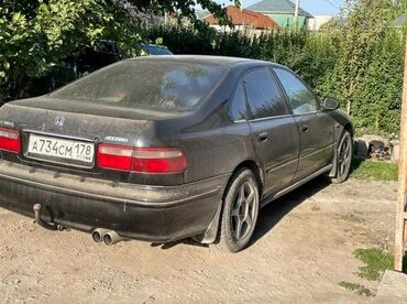 honda авенсис: Honda Accord: 1994 г., 2 л, Механика, Бензин, Седан