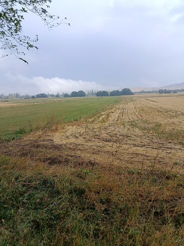 Продажа участков: 72 соток, Для сельского хозяйства, Договор купли-продажи — 9