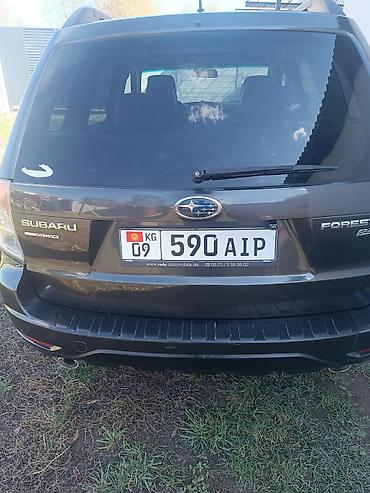 tucson 2020: Subaru Forester: 2009 г., Вариатор, Бензин, Кроссовер — 6